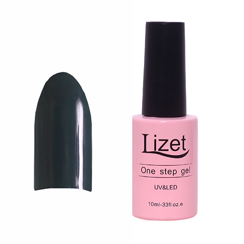 Однофазный гель-лак для ногтей  Lizet, 10 мл, №166